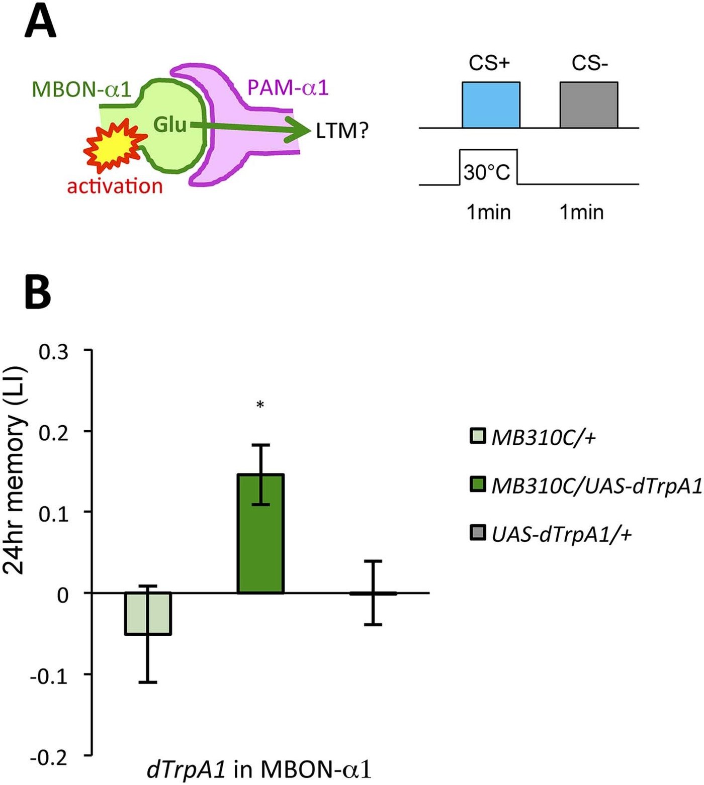 Figure 5:MBON-α1 傳遞獎賞型 LTM 的獎賞訊號